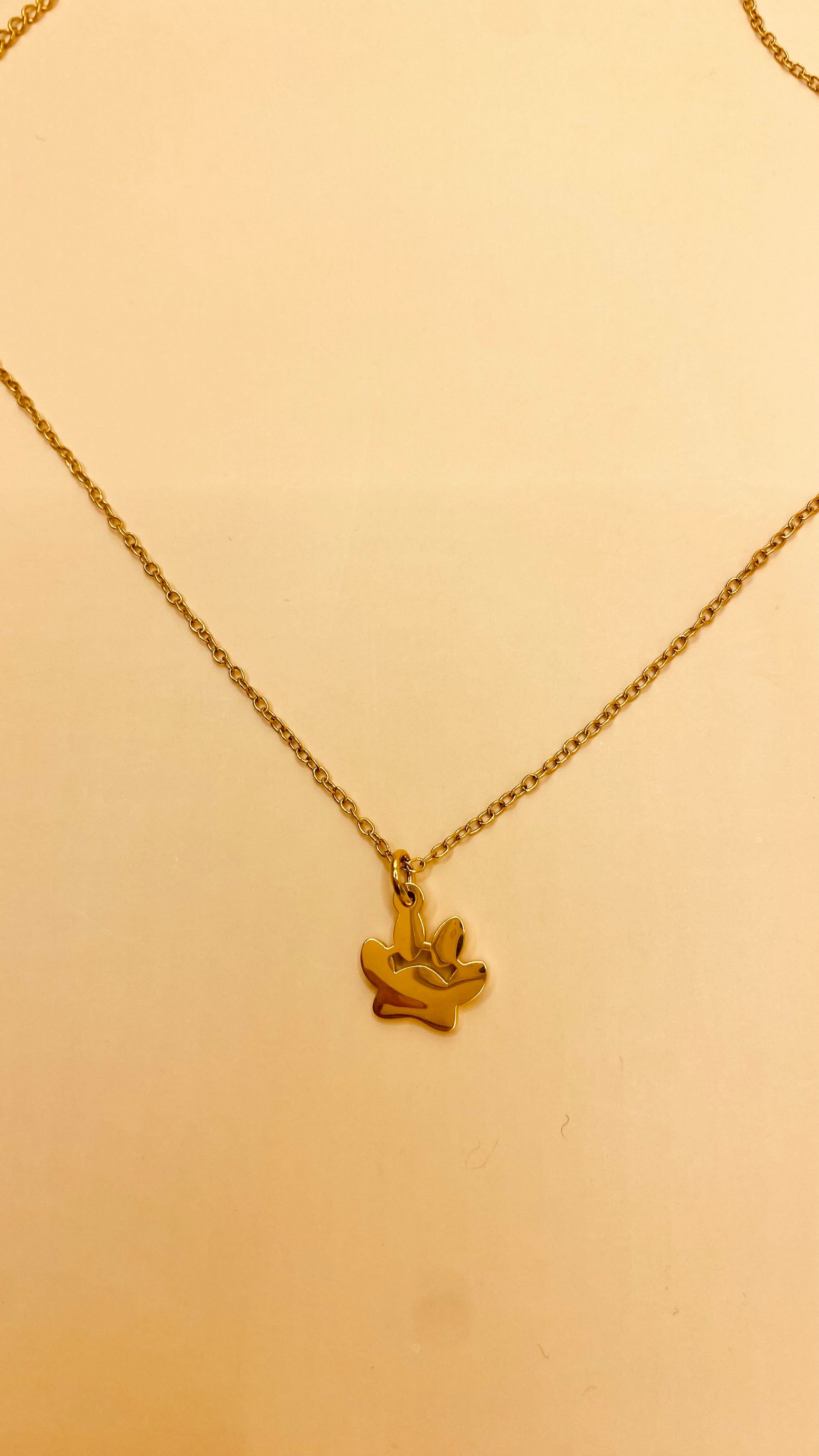 Collar Huella de Perrito L27