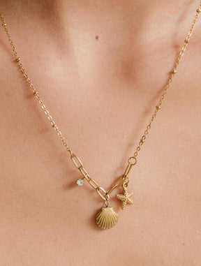 Collar Sencillo Estrella y Concha D41