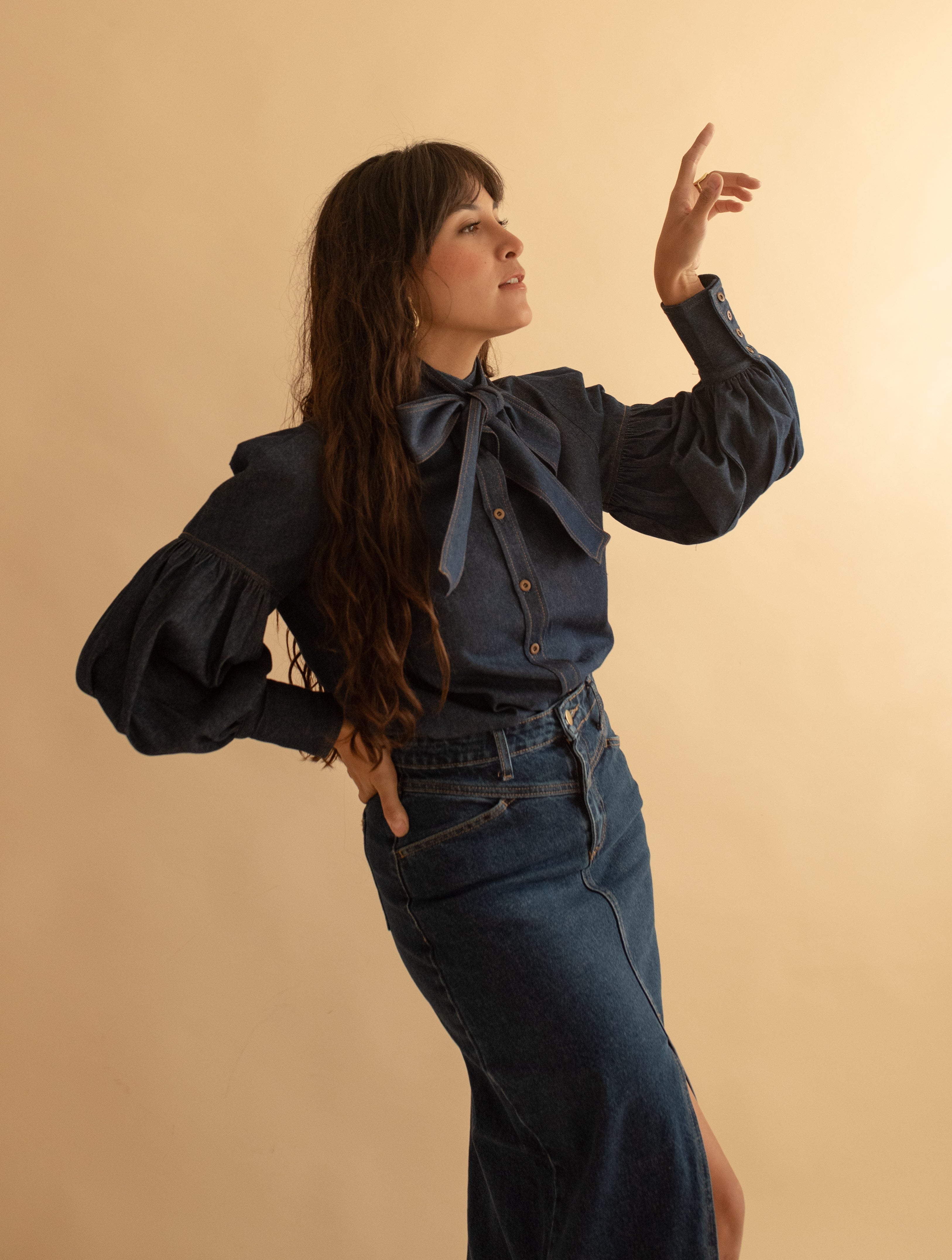 Romance Denim Blouse